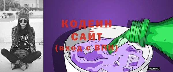 ECSTASY Алзамай