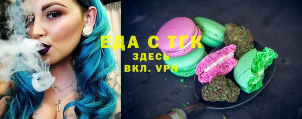 ECSTASY Алзамай