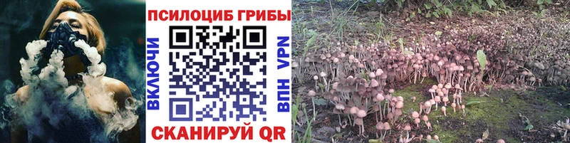 mega маркетплейс  Бирюсинск  Псилоцибиновые грибы Psilocybe  магазин   