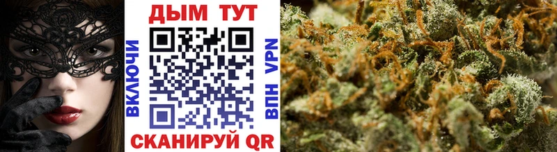 omg ТОР  как найти   Бирюсинск  Каннабис индика 